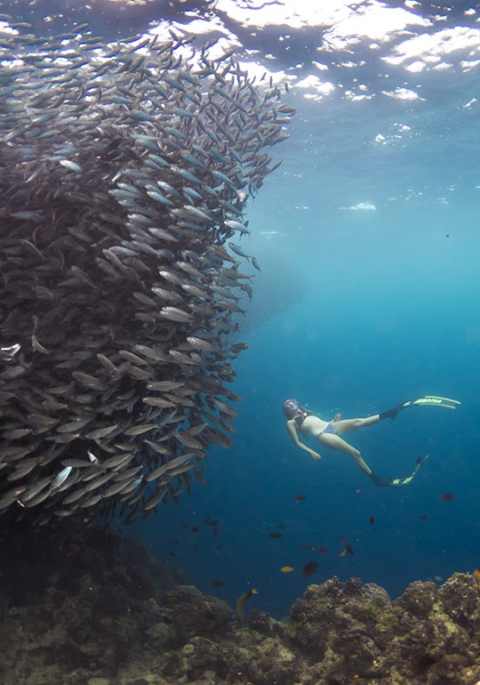 six senses presente reconnect with six senses 4