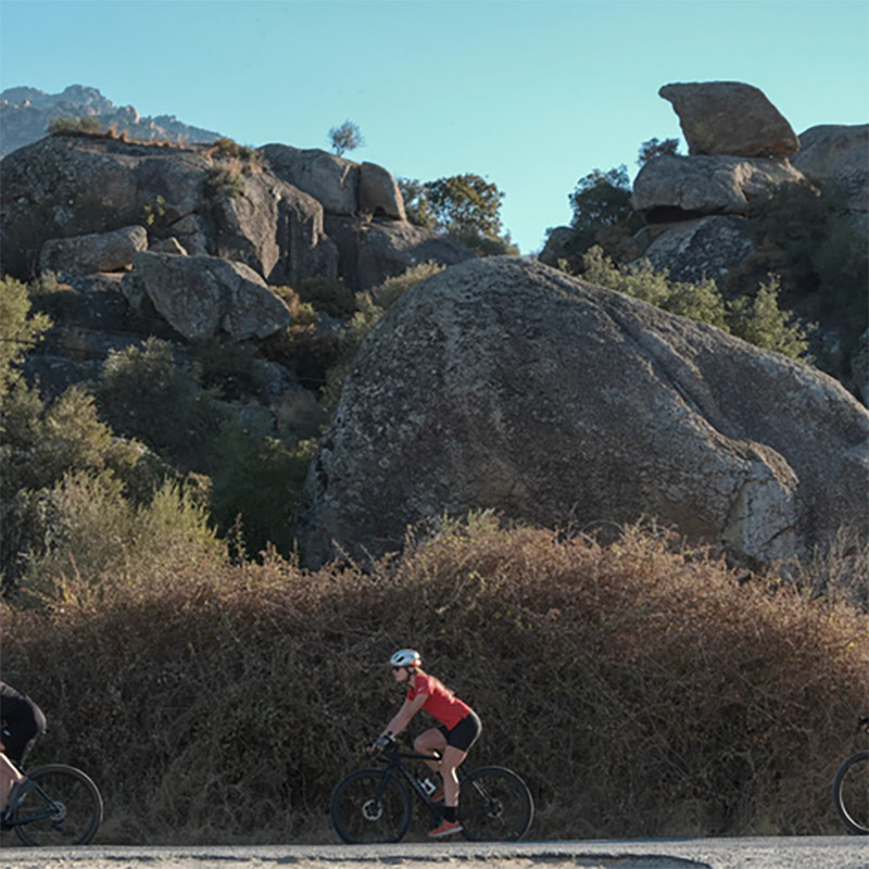 La retraite multisports